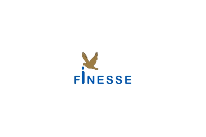 VINESSE WORLDWIDE